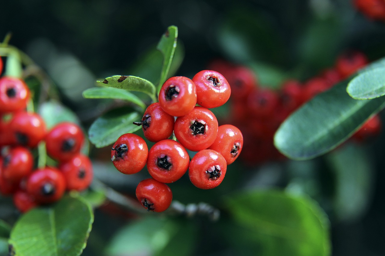 28圈体育：跑马拉松需“烧脑”供能？国际最新研究称大脑髓磷脂会发生可逆改变3-25 11：58.